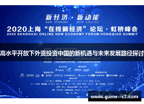 高水平开放下外资投资中国的新机遇与未来发展路径探讨